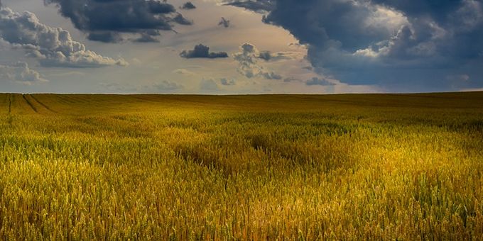 Farmers Increase Yield with Weather Stations