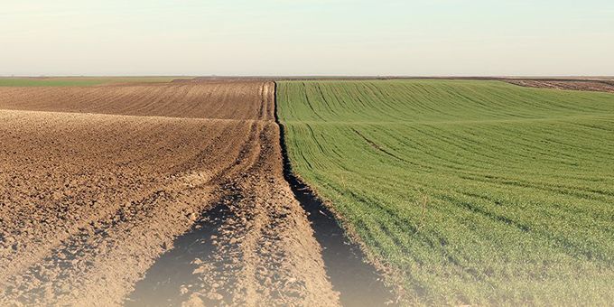 Back to Basics Soil Fertility Part 2: Phosphate