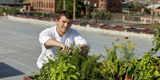 Technology in Urban Agriculture Could Increase Real Estate Values