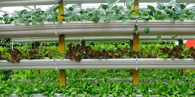 Vertical Farming Methods Compared to Traditional Vertical Farming?