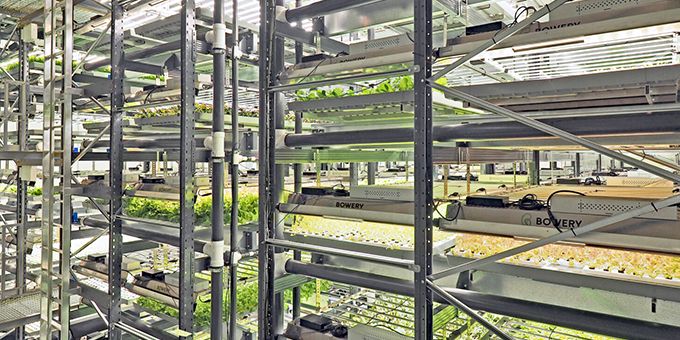 Vertical Farming Advantages You Should Know About