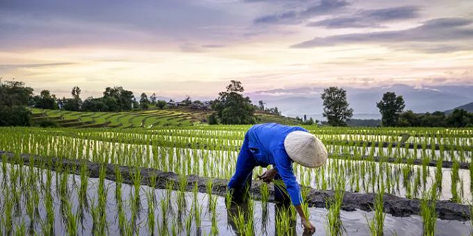 Enhancing Climate Adaptation and Resilience in South Asia