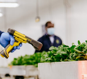 Scanning in a Bowery Farm for Traceability