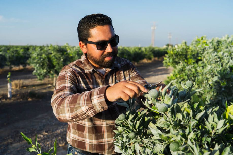 Alex Esparza Crop Management Company