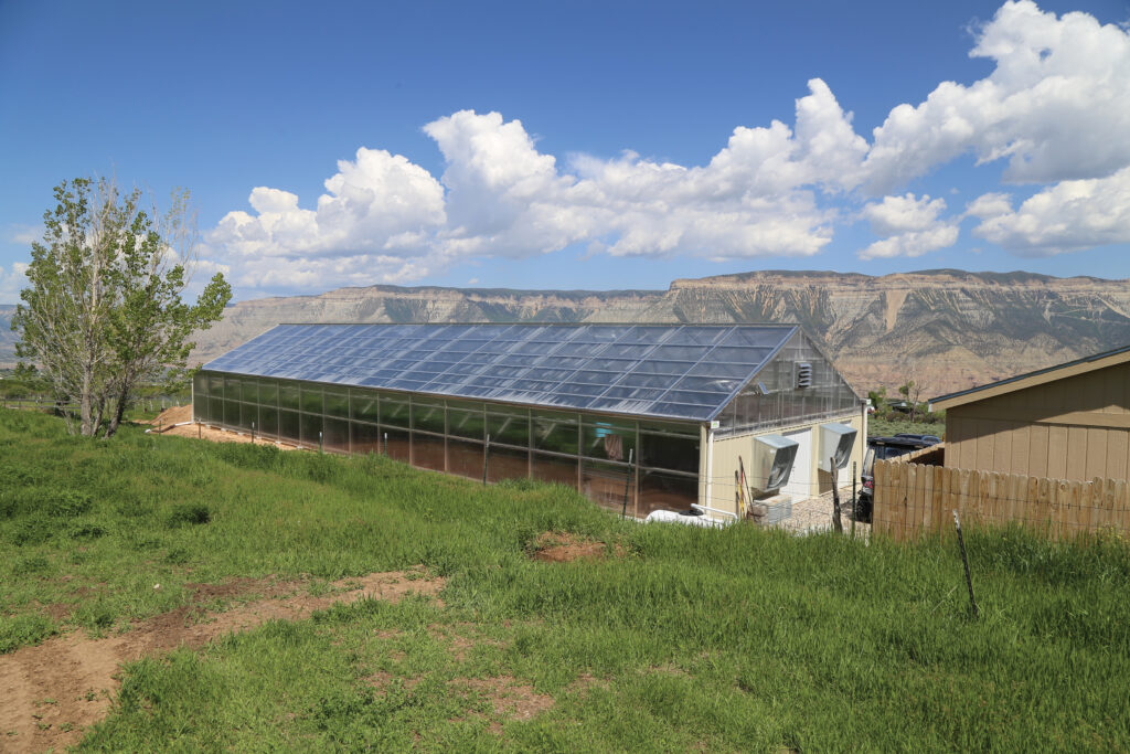 greenhouse with mountains in background