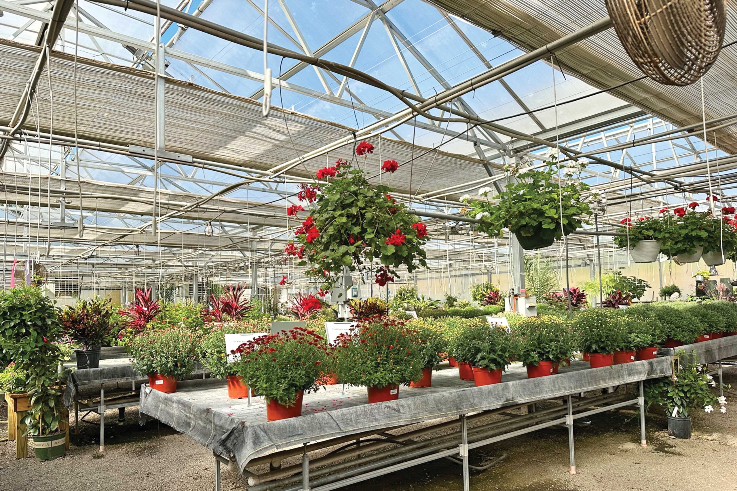 automated greenhouse using shade system