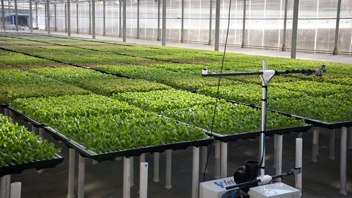 An image of a Hippo Harvest greenhouse. 