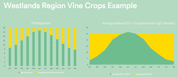 Westlands Vine Crops Example